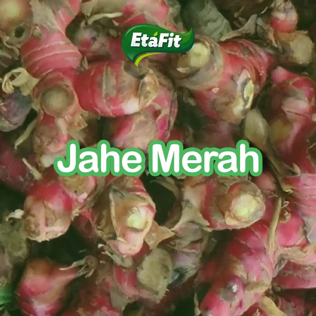 Jahe Merah Etafit