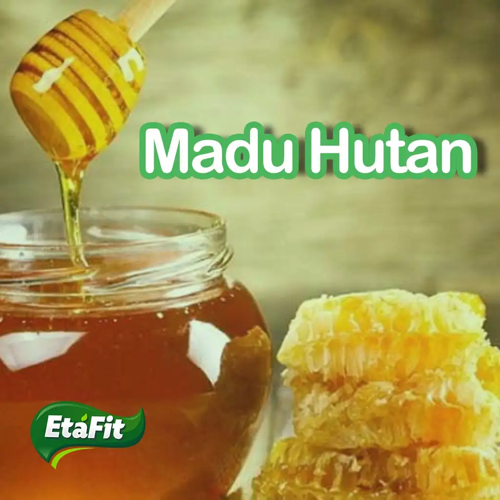 Madu Hutan Etafit