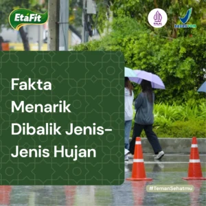 Jenis-jensi hujan
