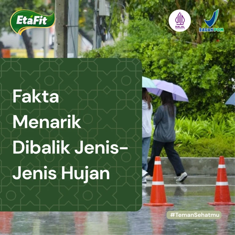 Jenis-jensi hujan